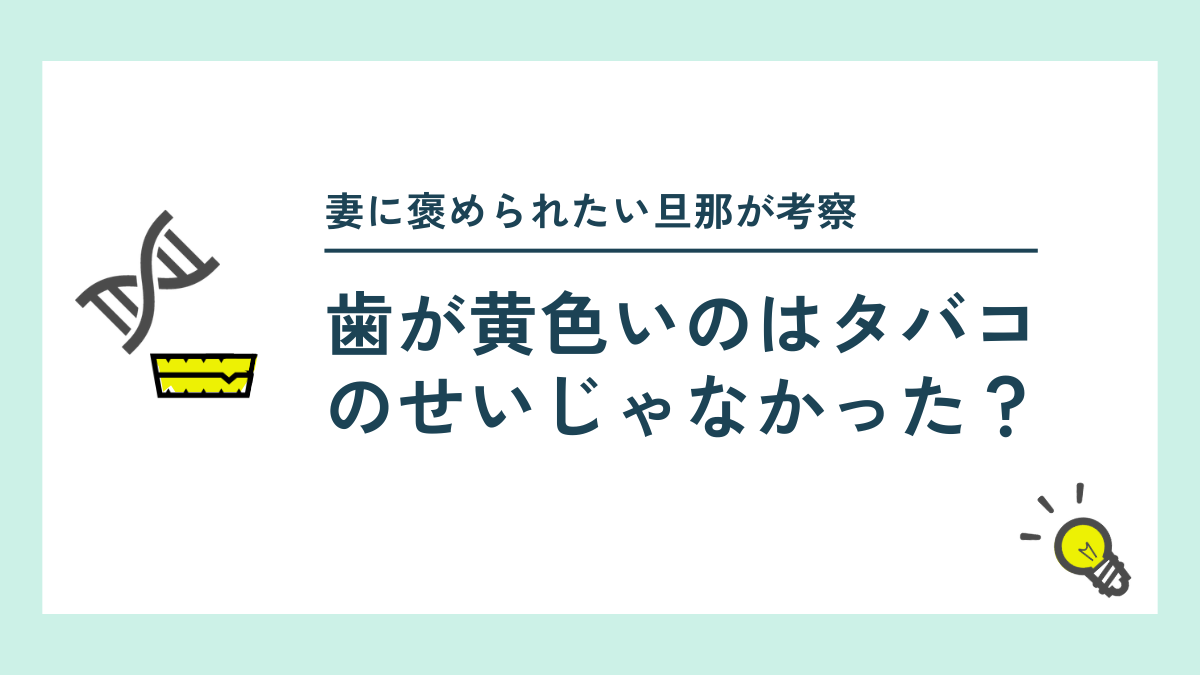 タイトル